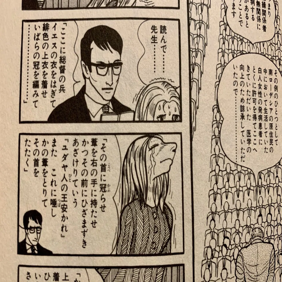 漫画 手塚治虫 火の鳥 寄子 きりひと讃歌 ばるぼら ブッダ アドルフの告ぐ