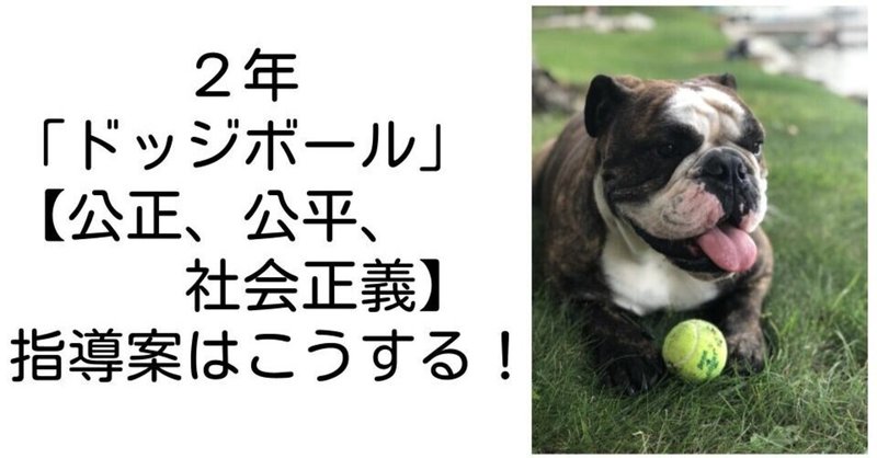 ２年 ドッジボール 公正 公平 社会正義 の指導案はこうする キッシュ 良質教育情報発信 Note