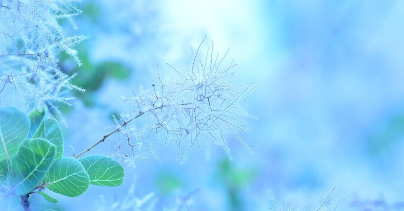 病気とは何か 健康とは何か 人生とは何か ナイチンゲール言葉集より Nocco Note