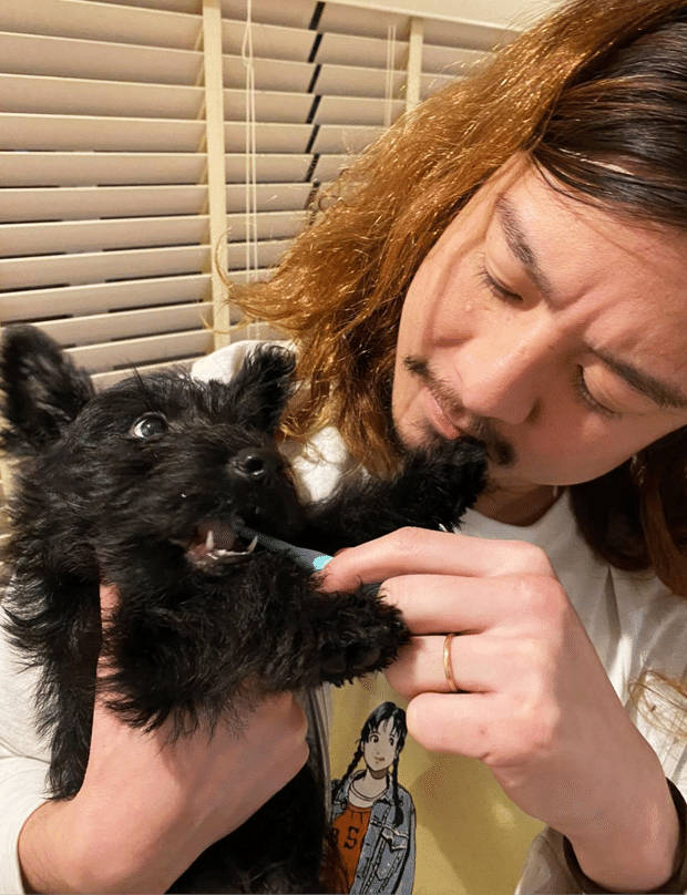 鎌倉の新居で一緒に生活する弟 おまめ 犬 の話 いいたかゆうたの娘です いい部屋ペット いい部屋ネット 公式 Note