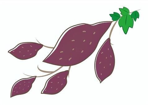 Withe通信 マジカルバナナ的勉強法 Withe 広大生学習支援団体 Note