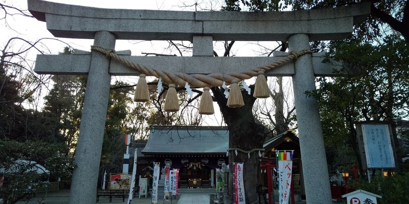 新田神社の御神木に住むインコのサチコさん Sevenmeets Note