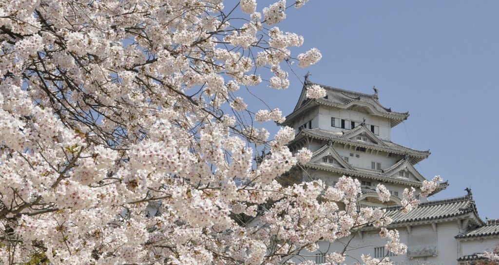 太田寿@歴史人物に学ぶ|note