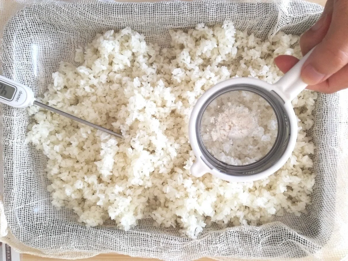 My First Homemade Rice Koji｜マリさん@あまざけ