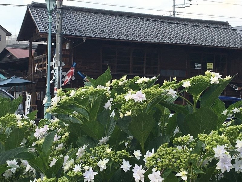 もっこ館 川越 川越から益田移住 俳句散歩ことだまこ Note