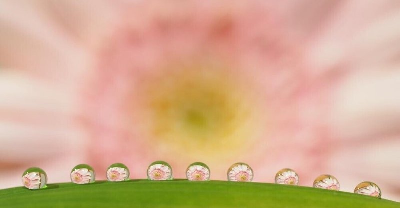 救われました 紹介してくれてありがとう 愛しています しおりん Note 救われました 紹介してくれてありがとう 愛しています しおりん Note