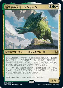 画像4