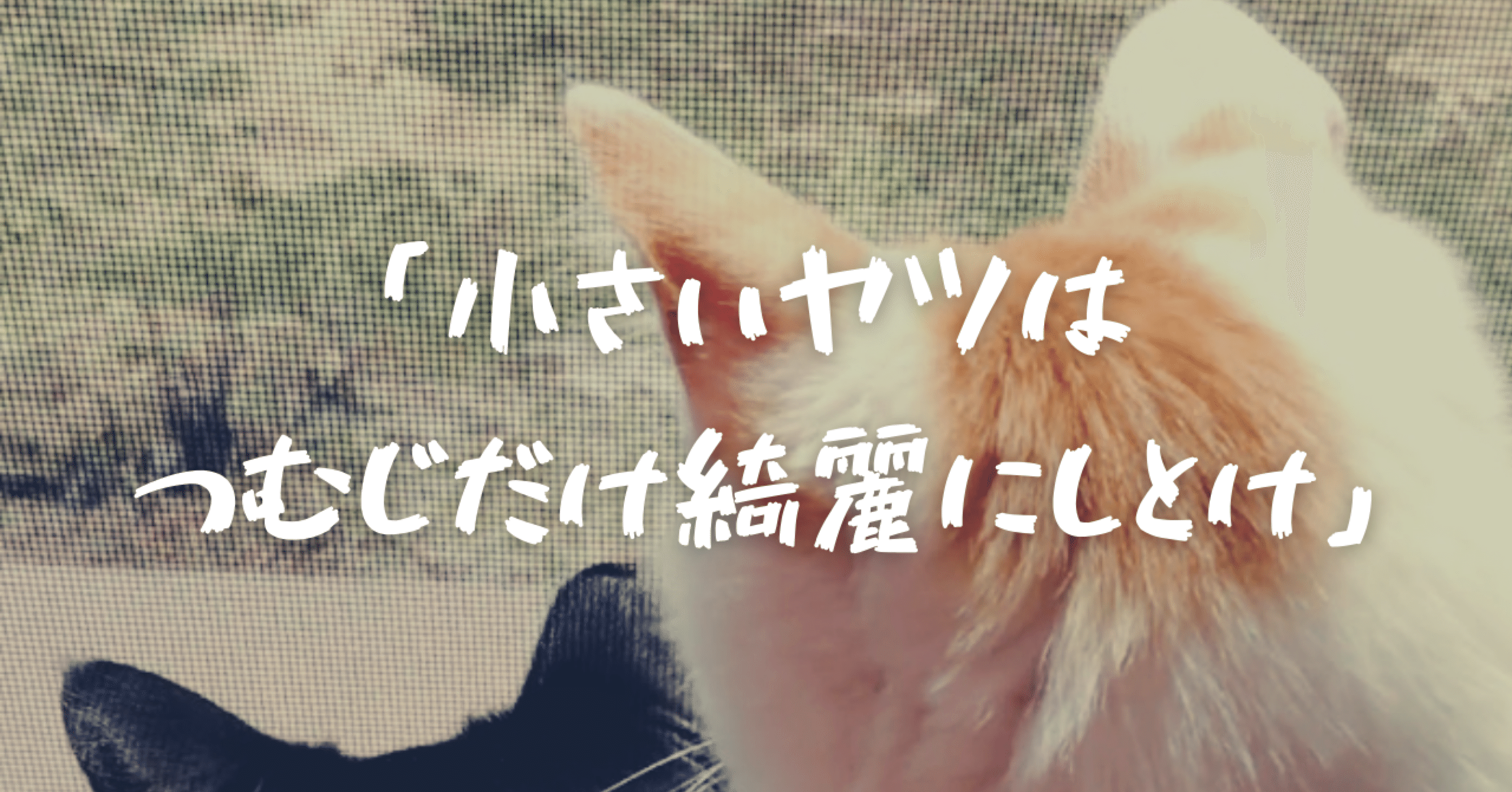 友達 小さいヤツはつむじだけ綺麗にしとけ いたち Note