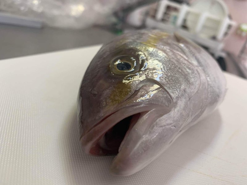 かんぱちのお刺身の食べ方 和風と洋風 お魚utコム Note かんぱちのお刺身の食べ方 和風と洋風 お魚utコム Note