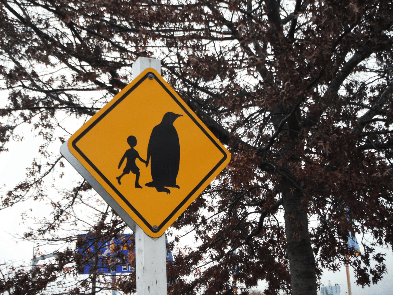 見慣れない標識缶バッジ ペンギン注意 コスモとコメット Booth