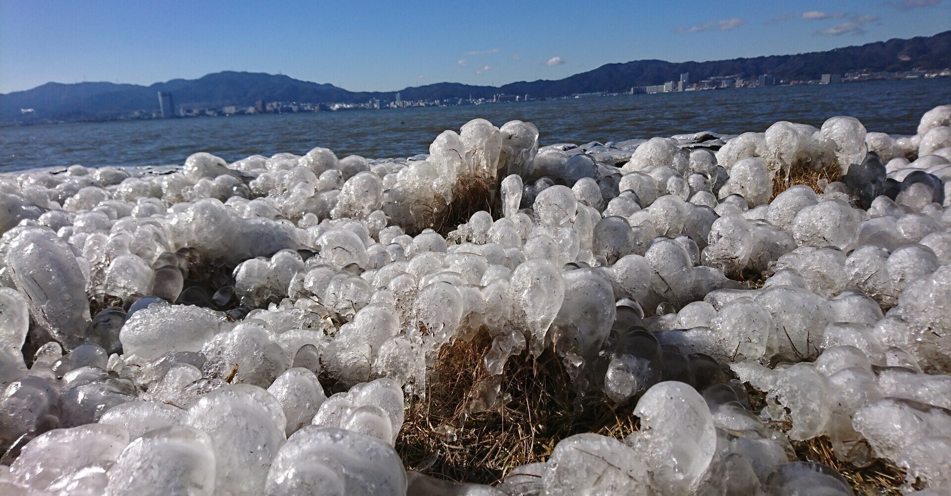 琵琶湖の冬の風物詩 しぶき氷 Masa Note 琵琶湖の冬の風物詩 しぶき氷 Masa Note