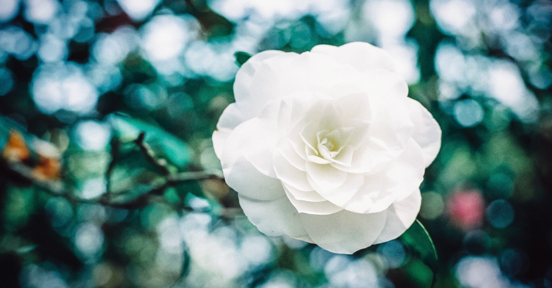 b105d8a439fae1edb05e0e7e15ad5e