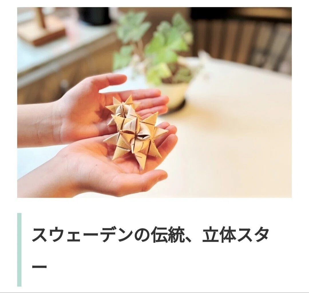 白樺樹皮｜Yukari ota