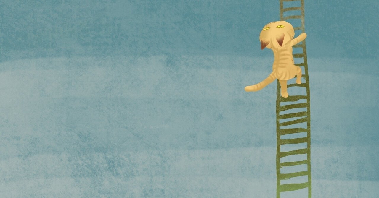 rectangle_large_type_2_72d5047