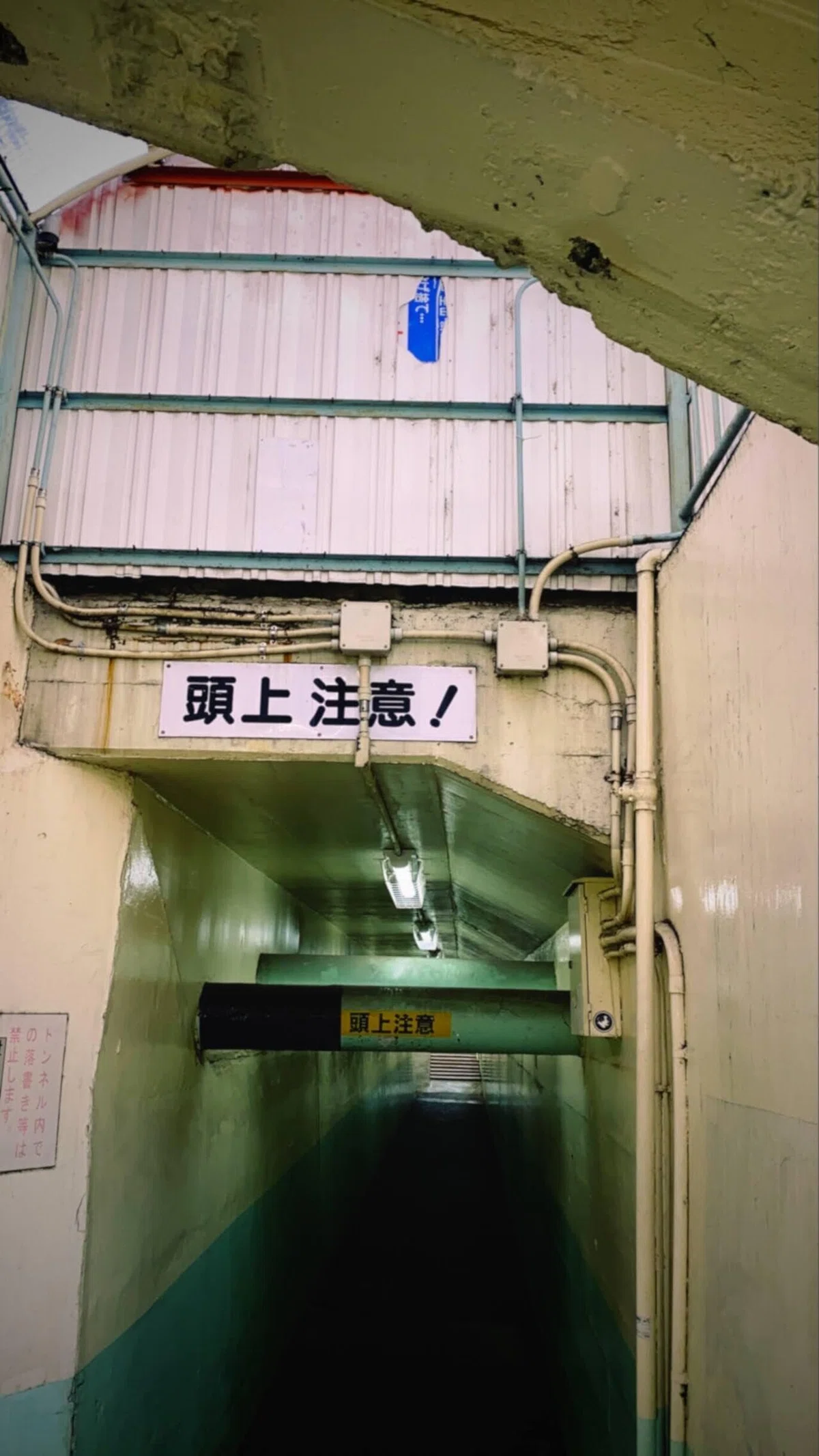 画像12