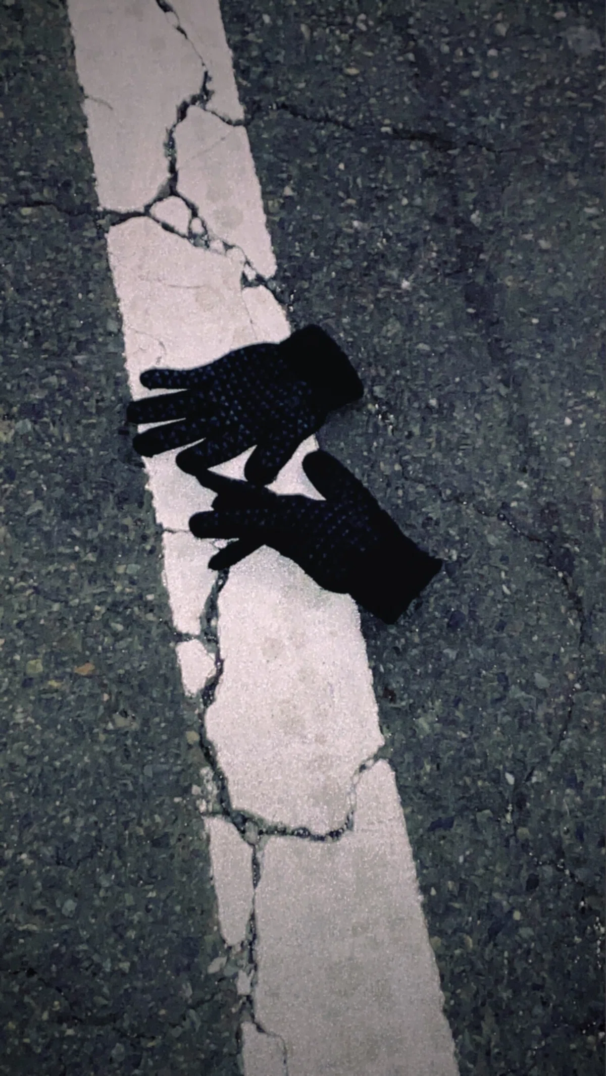画像15
