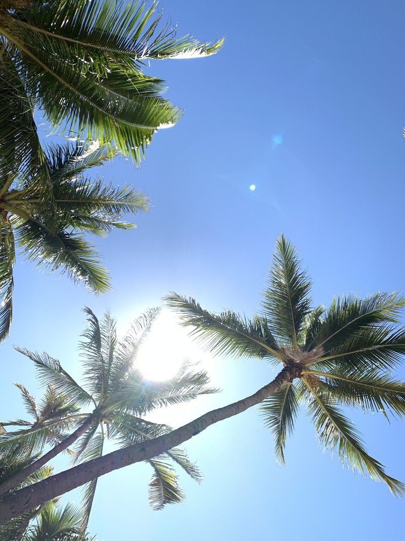 香りは0 2秒で脳に到達する 海馬を刺激して記憶力もアップ お勉強のサポーターは アロマオイル で テストも受験も乗り切る まるごとhawaii ハワイの暮らしも仕事も好きなこともオススメもいい事あったらシェアしよ Note