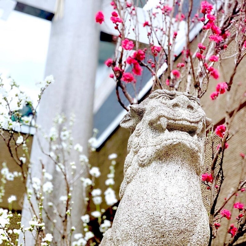 桃の花は 魔除け のアイテム 女の子の成長を祈る 雛まつり 小野照崎神社 Note