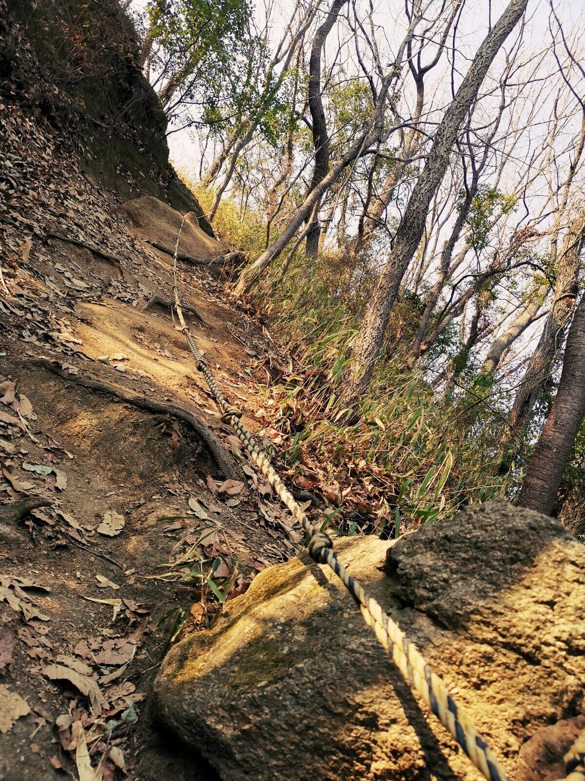 渡来人が集い 最盛期が古墳時代だった大阪 高尾山は 令和の世にヒルクライムの練習場になっている件 最後に脈絡なく急斜面が攻めてくるのだけ注意 文乃 歴史フリークときどきコーチ Note