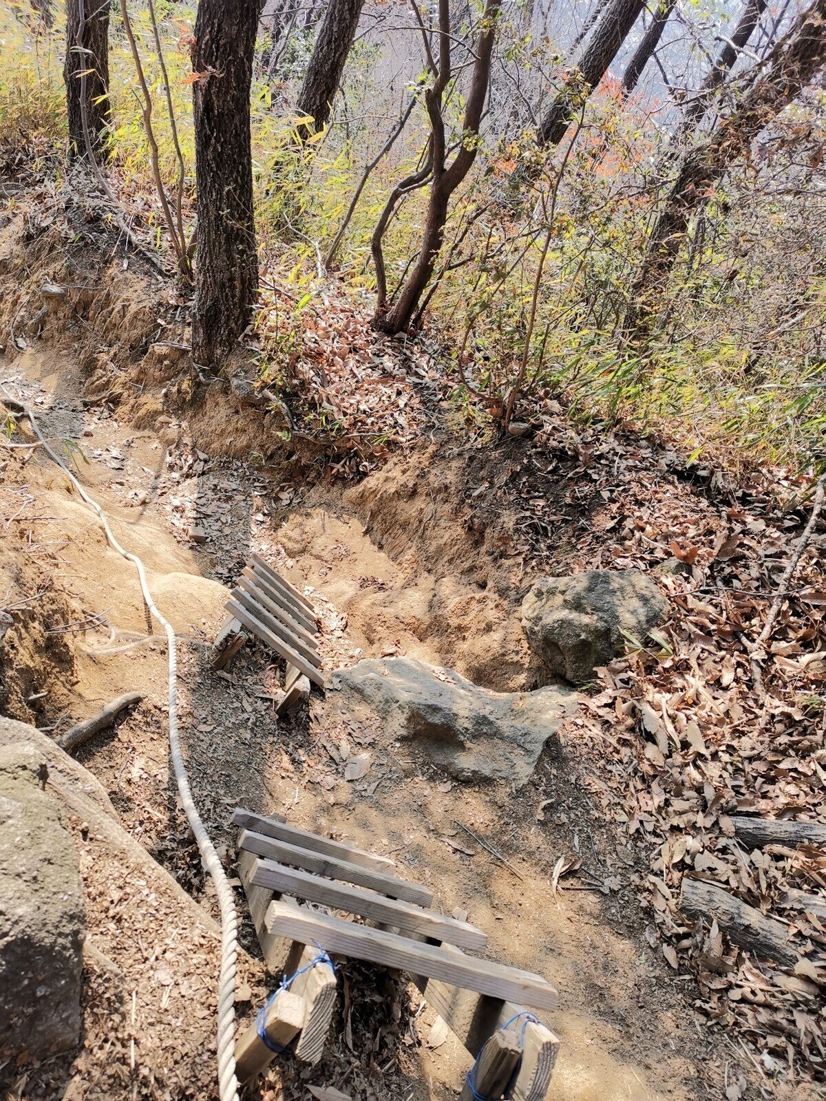 渡来人が集い 最盛期が古墳時代だった大阪 高尾山は 令和の世にヒルクライムの練習場になっている件 最後に脈絡なく急斜面が攻めてくるのだけ注意 文乃 歴史フリークときどきコーチ Note