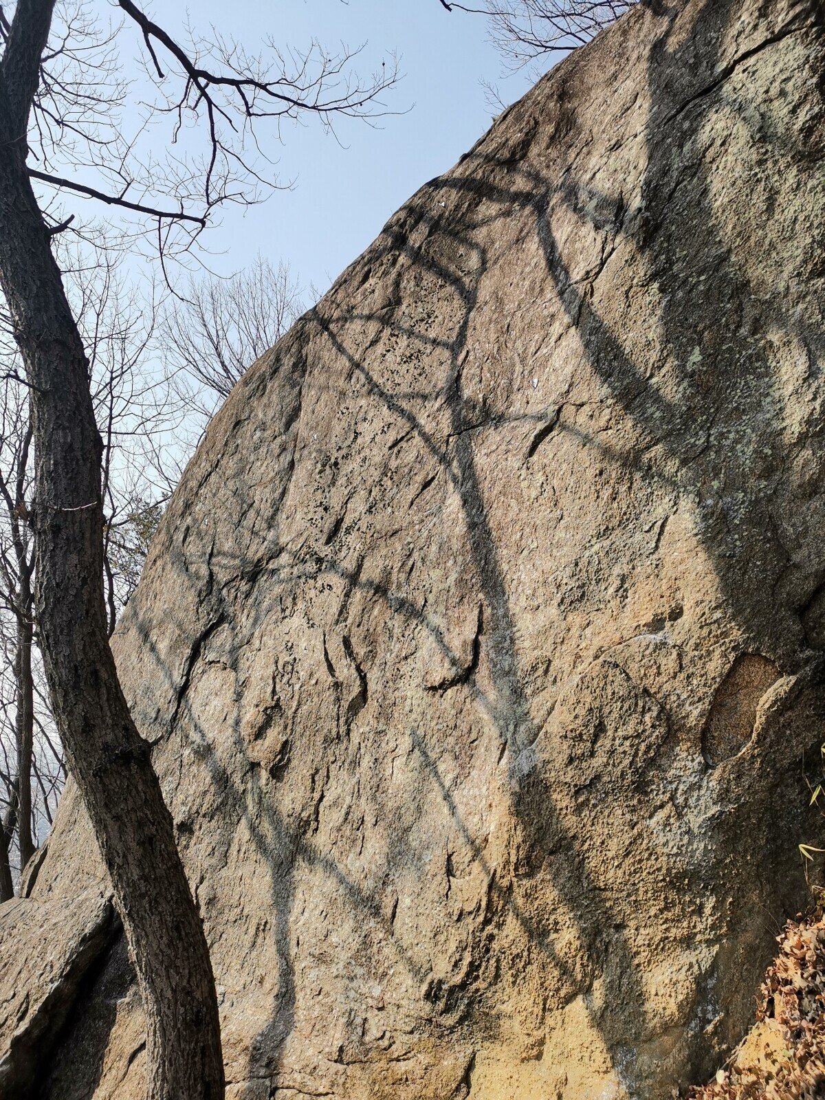 渡来人が集い 最盛期が古墳時代だった大阪 高尾山は 令和の世にヒルクライムの練習場になっている件 最後に脈絡なく急斜面が攻めてくるのだけ注意 文乃 歴史フリークときどきコーチ Note