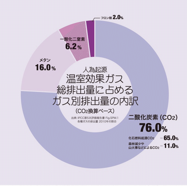 雑学 牛のゲップ とビーガン 増井静香のブログ Note