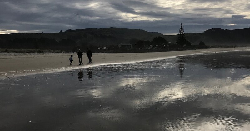 感情はどう育つのか Song Of The Sea Marco Company Note