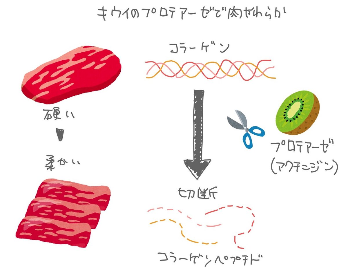 柔らかい肉-7