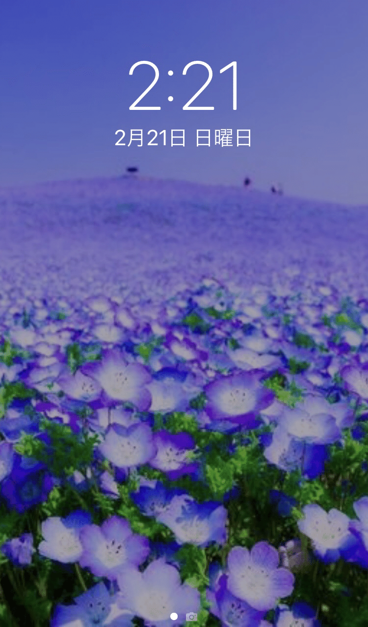 私は あなたと出会えたことがすっごく幸せです 2月21日の花はすみれとネモフィラなので すみれ色のネモフィラの画像にしました 花言葉は どこでも 成功する 21年2月21日2時21分 ゆっきぃ Note
