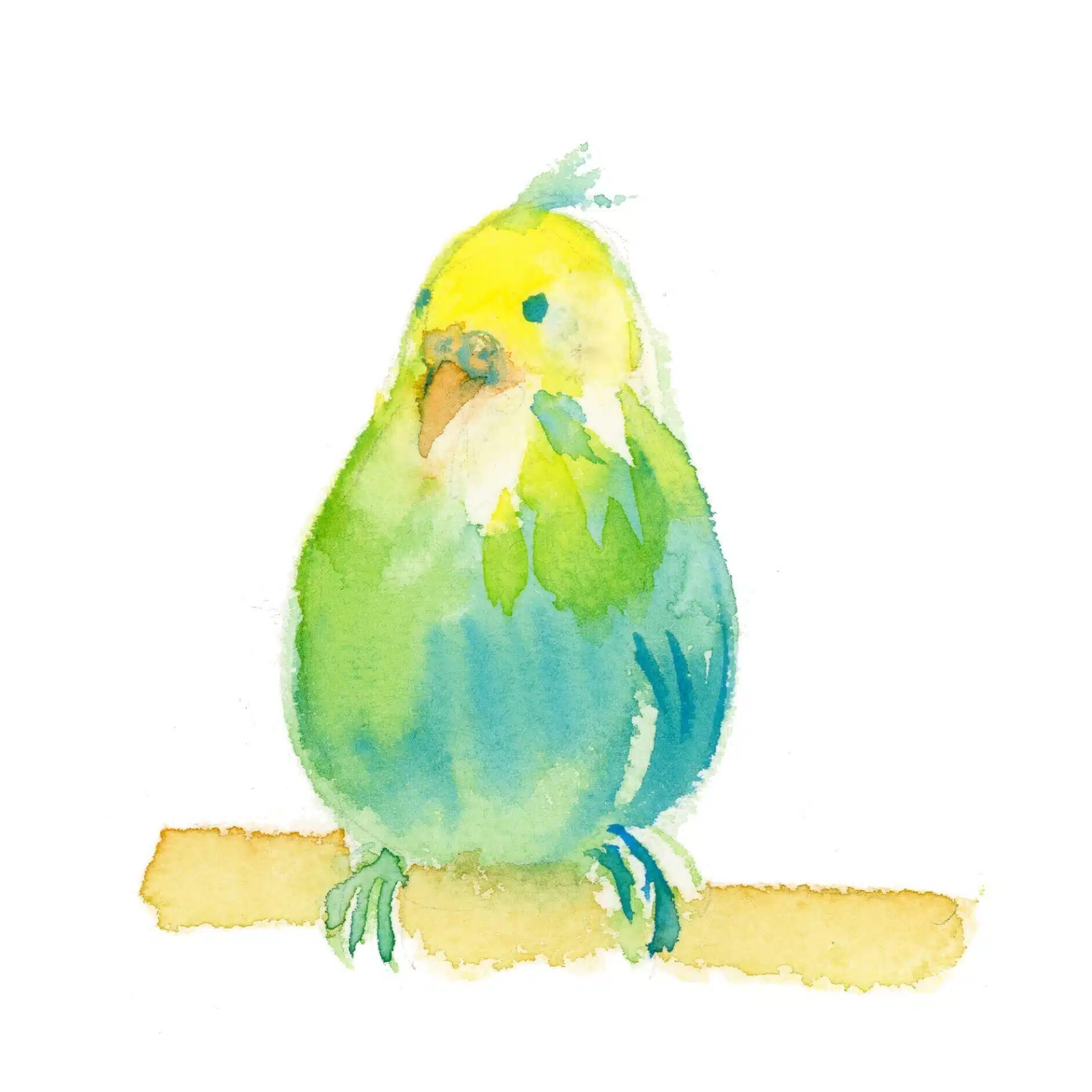 mikuna
