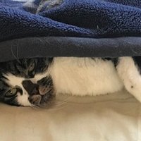 １００万人の信長の野望 回想録 現在進行形 不定期更新23 はな太朗 Note