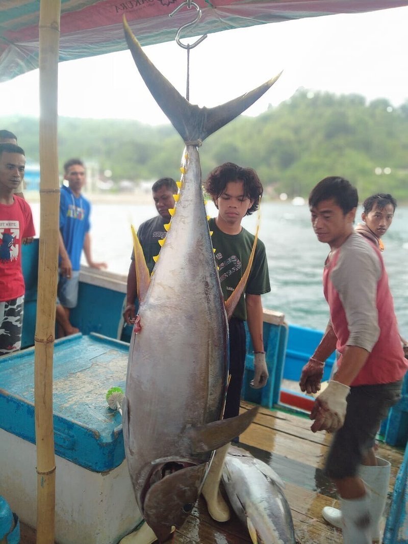 マグロ漁獲世界一 インドネシア産マグロをもっと知ろう Kenhappy Note