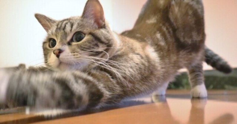 猫の日には ねこのうた あく Note 猫の日には ねこのうた あく Note