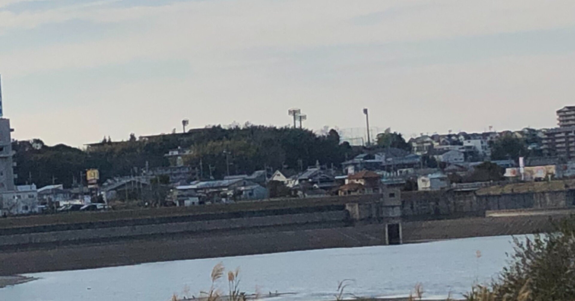 歴史のなかの狭山池―最古の溜池と地域社会 | 市川 秀之 |本