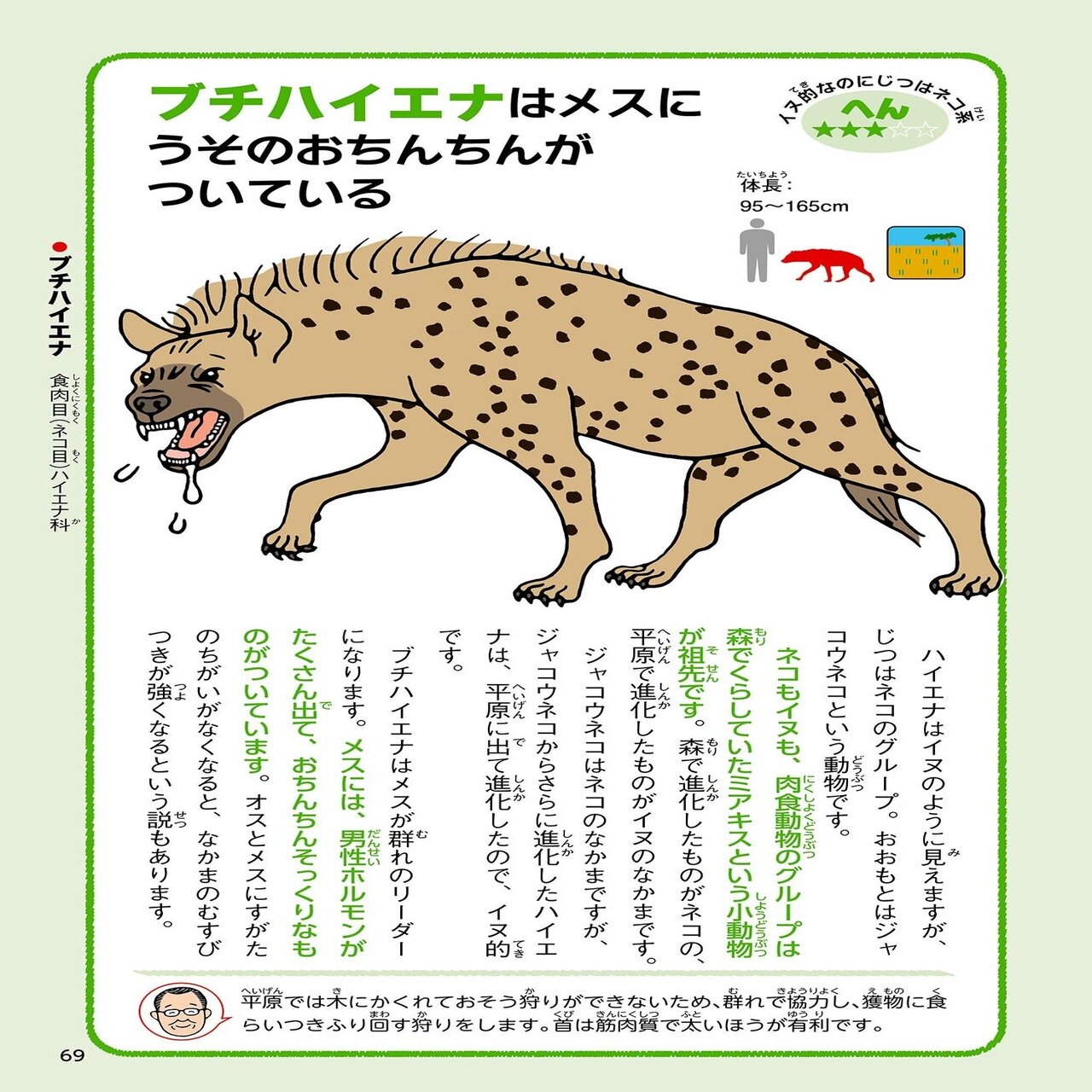 ハダカデバネズミは空気がなくても生きられる 3 なぜか生きのこったへんな動物 幻冬舎 電子書籍 Note