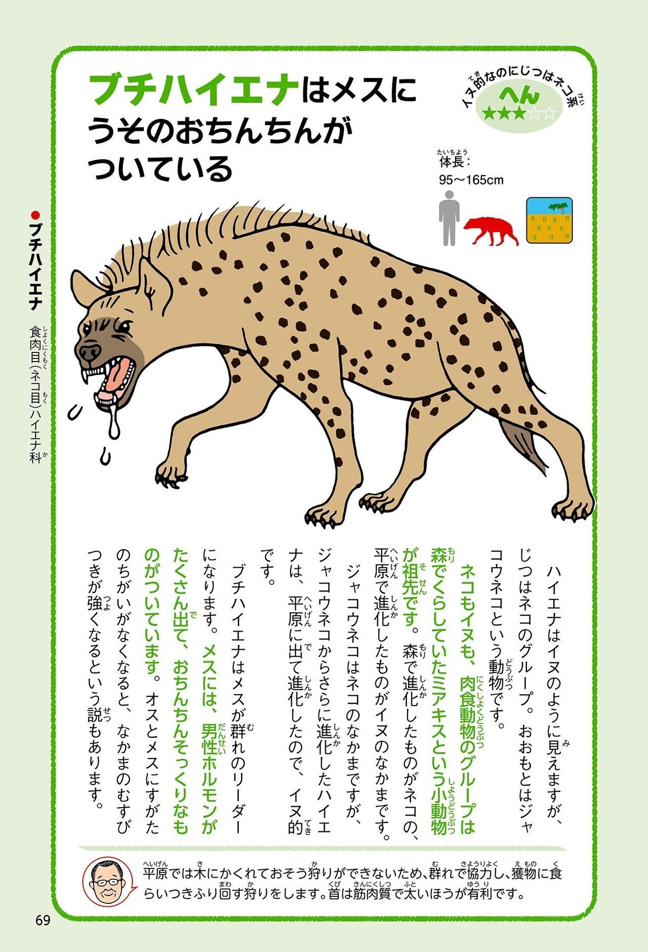 ハダカデバネズミは空気がなくても生きられる 3 なぜか生きのこったへんな動物 幻冬舎 電子書籍 Note ハダカデバネズミは空気がなくても生きられる 3 なぜか生きのこったへんな動物 幻冬舎 電子書籍 Note