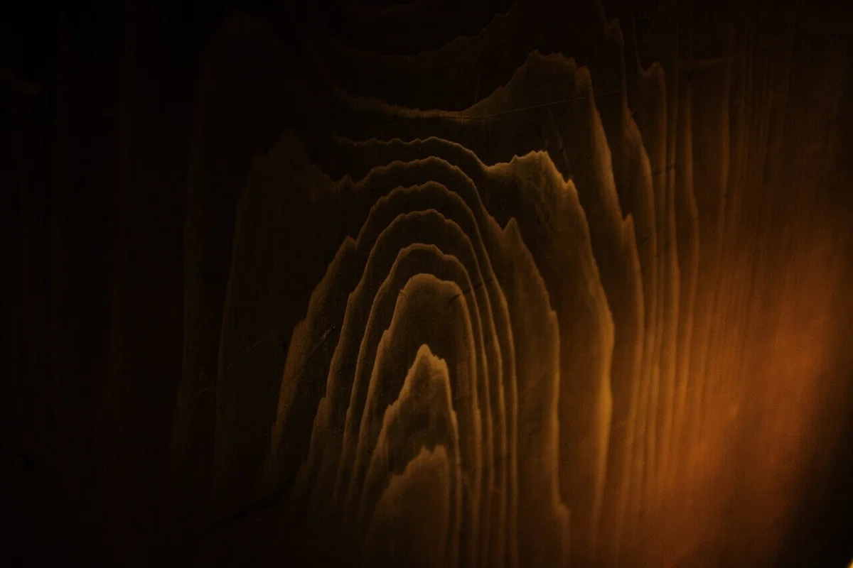 画像27