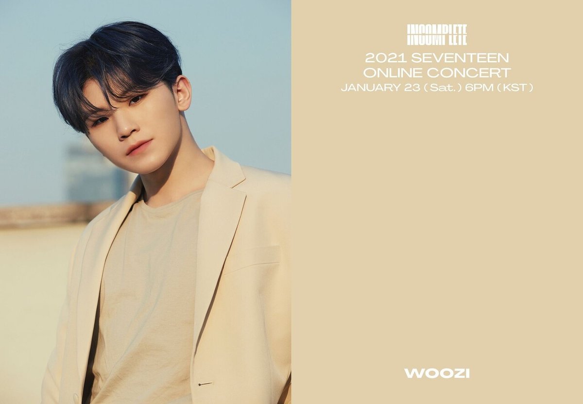 SEVENTEEN ウォヌ FML Heaven carat ver バインダー トレカ 28枚