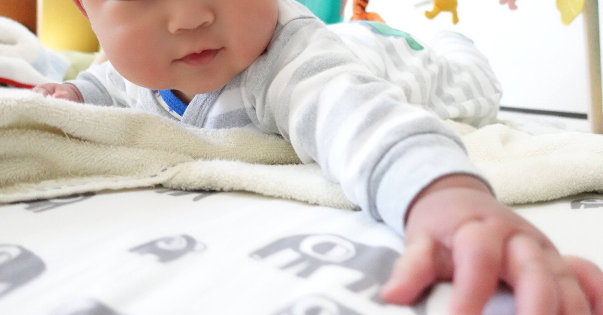 生まれて7ヶ月が経ちました スコーン Note