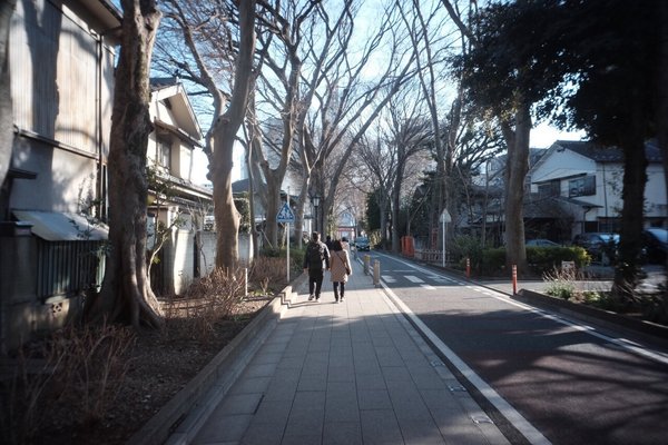画像15