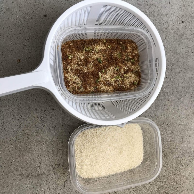 ミルワーム飼育 2 21 Day119 自家製ミルワーム太郎 Note