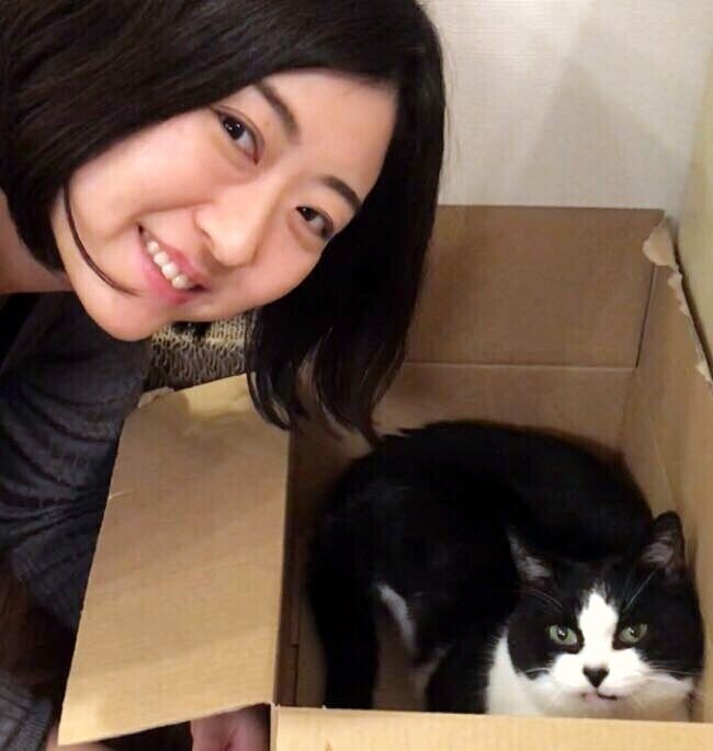 なぜ日本猫ねこ協会は 推し猫グランプリを開催するのか 一般社団法人日本猫ねこ協会 Note