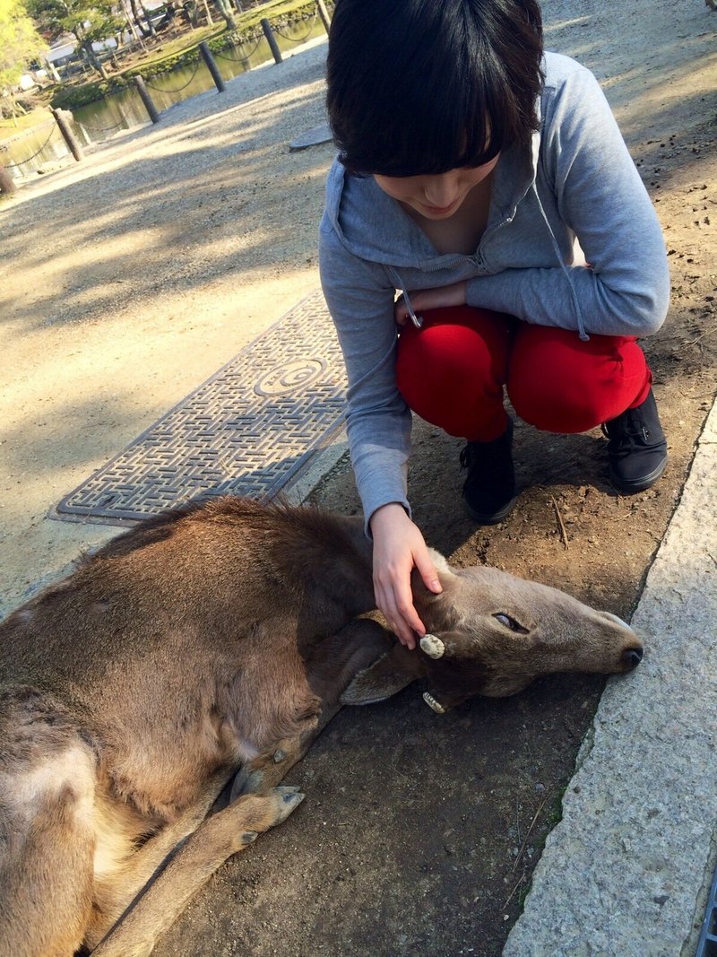 なぜ動物たちは私より妻にばかりなつくのか 戌一 いぬいち Note なぜ動物たちは私より妻にばかりなつくのか 戌一 いぬいち Note