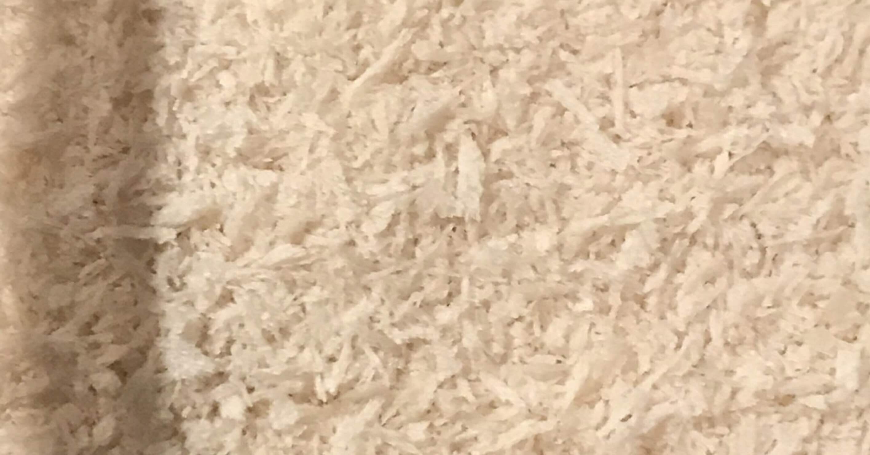 ミルワーム飼育 2 19 Day117 床材をパン粉に 自家製ミルワーム太郎 Note ミルワーム飼育 2 19 Day117 床材をパン粉に 自家製ミルワーム太郎 Note
