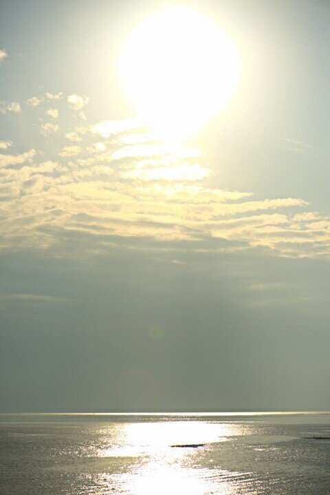 22日の羅刹日 方位無料公開 陰陽師 Online Note