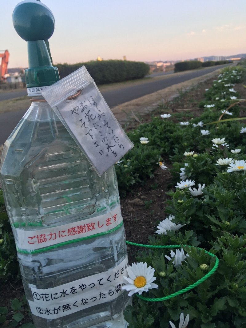行き場を無くした優しさで溢れる花壇 四葉の幸せ Note