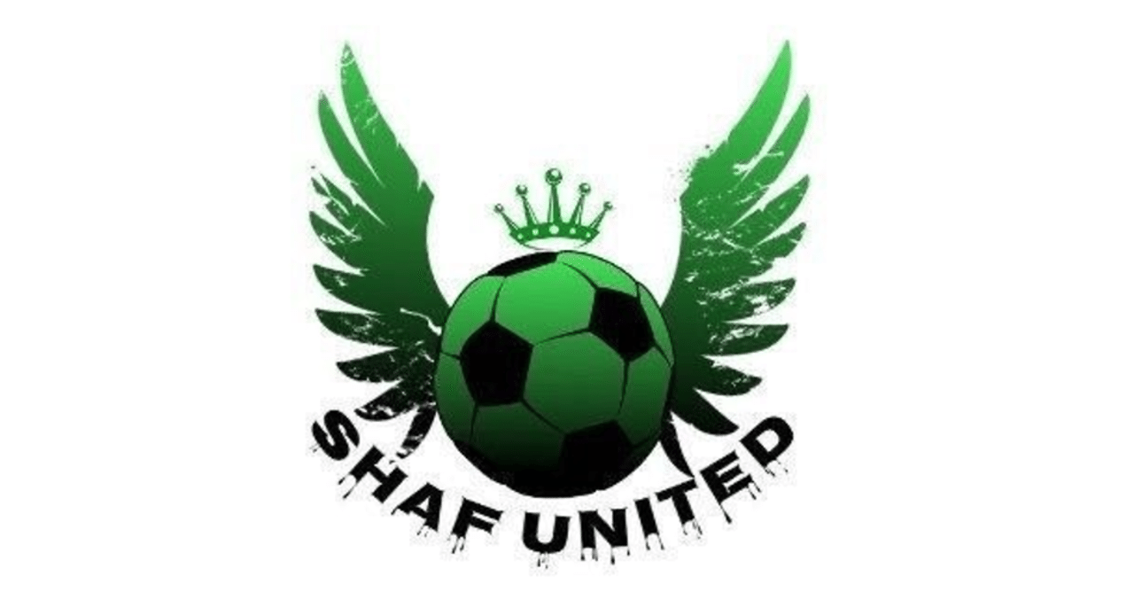 特別記事 代jサポ男性が都リーグクラブのオーナーになった話 Lin サッカー環境向上委員会 Note