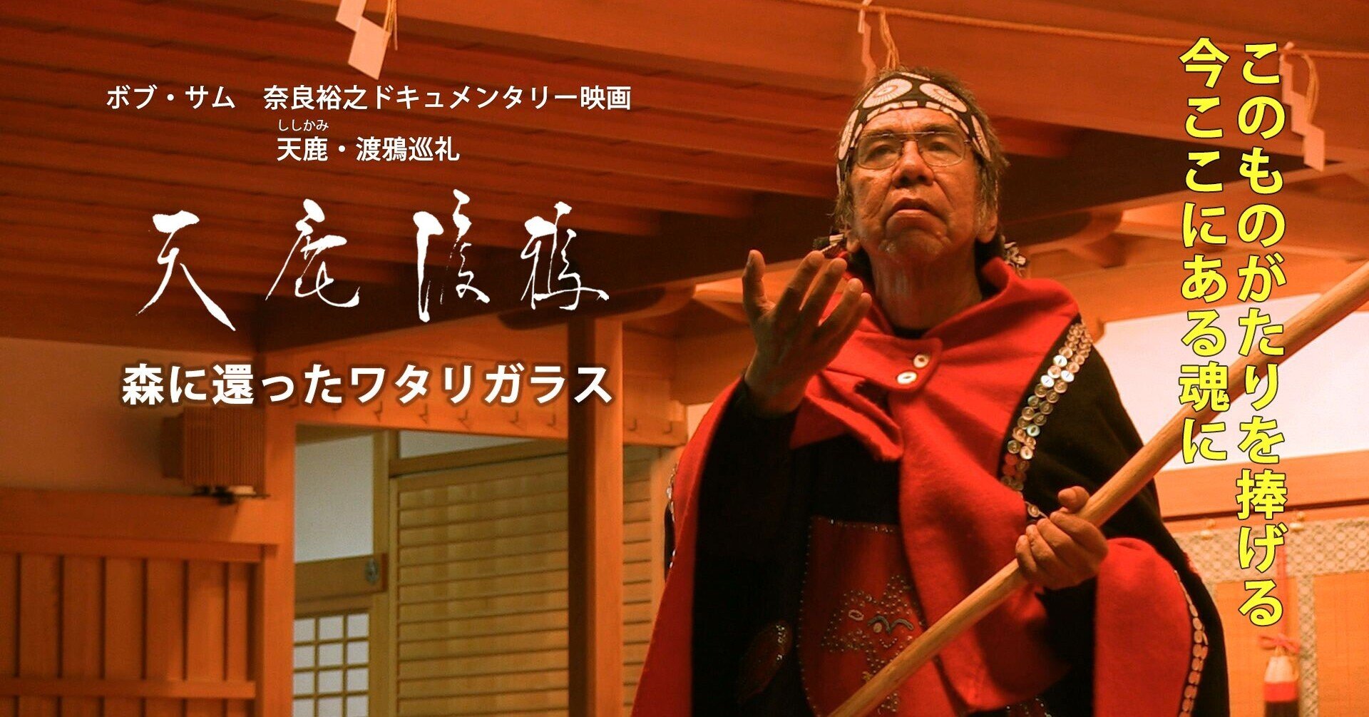 白いワタリガラス｜HiroAOKI