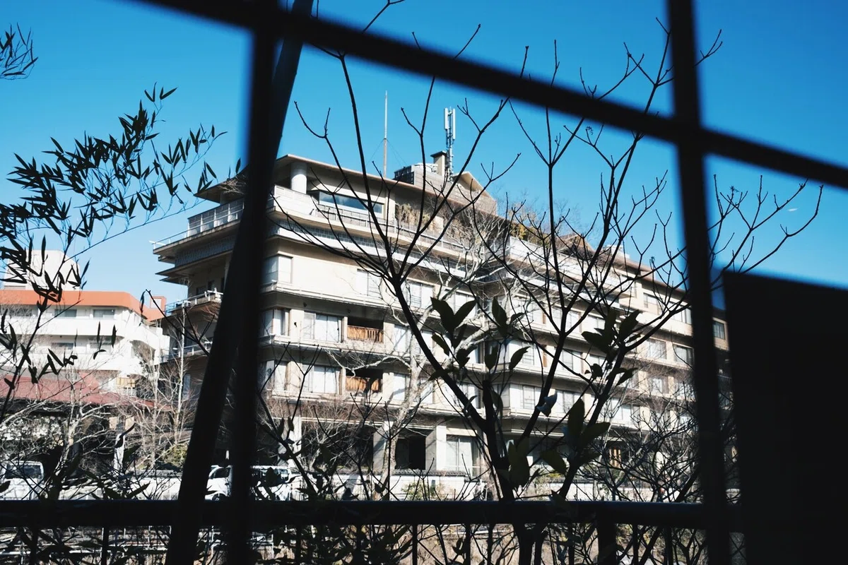 画像6