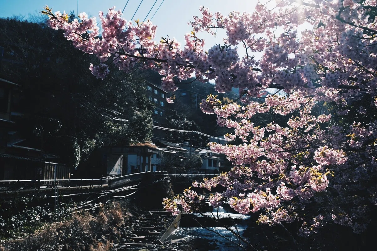 画像9